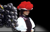 Products from the Black Forest region. Hotel, Apartments, Pension, Guesthouses and more